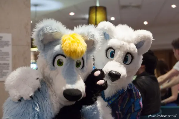 IMG_7322-lr16t.jpg of CFZ/CFZ2016/