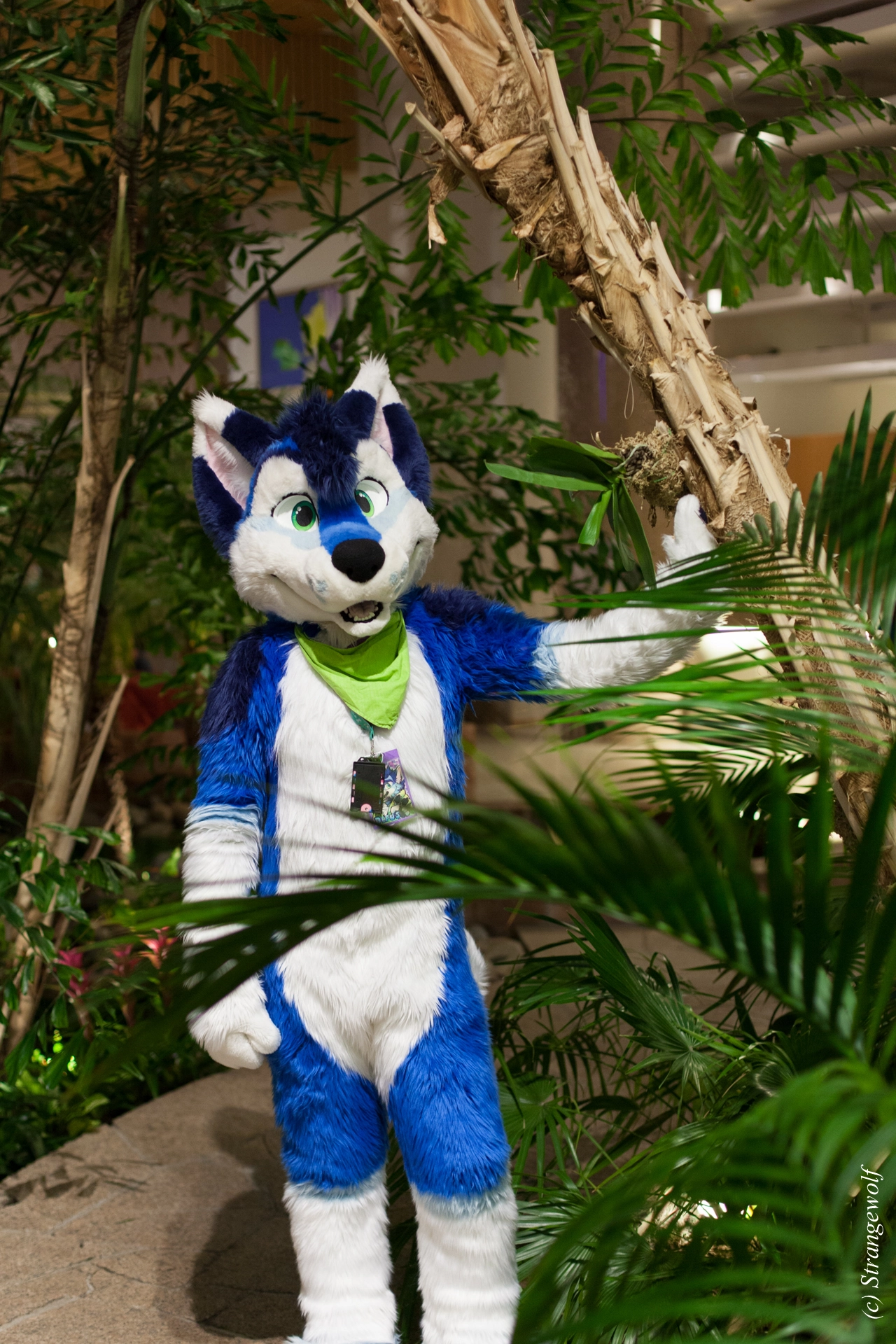 full image IMG_8988-lr19t.jpg