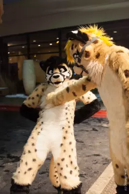 IMG_6920-lr19t.jpg of MFF/MFF2018/