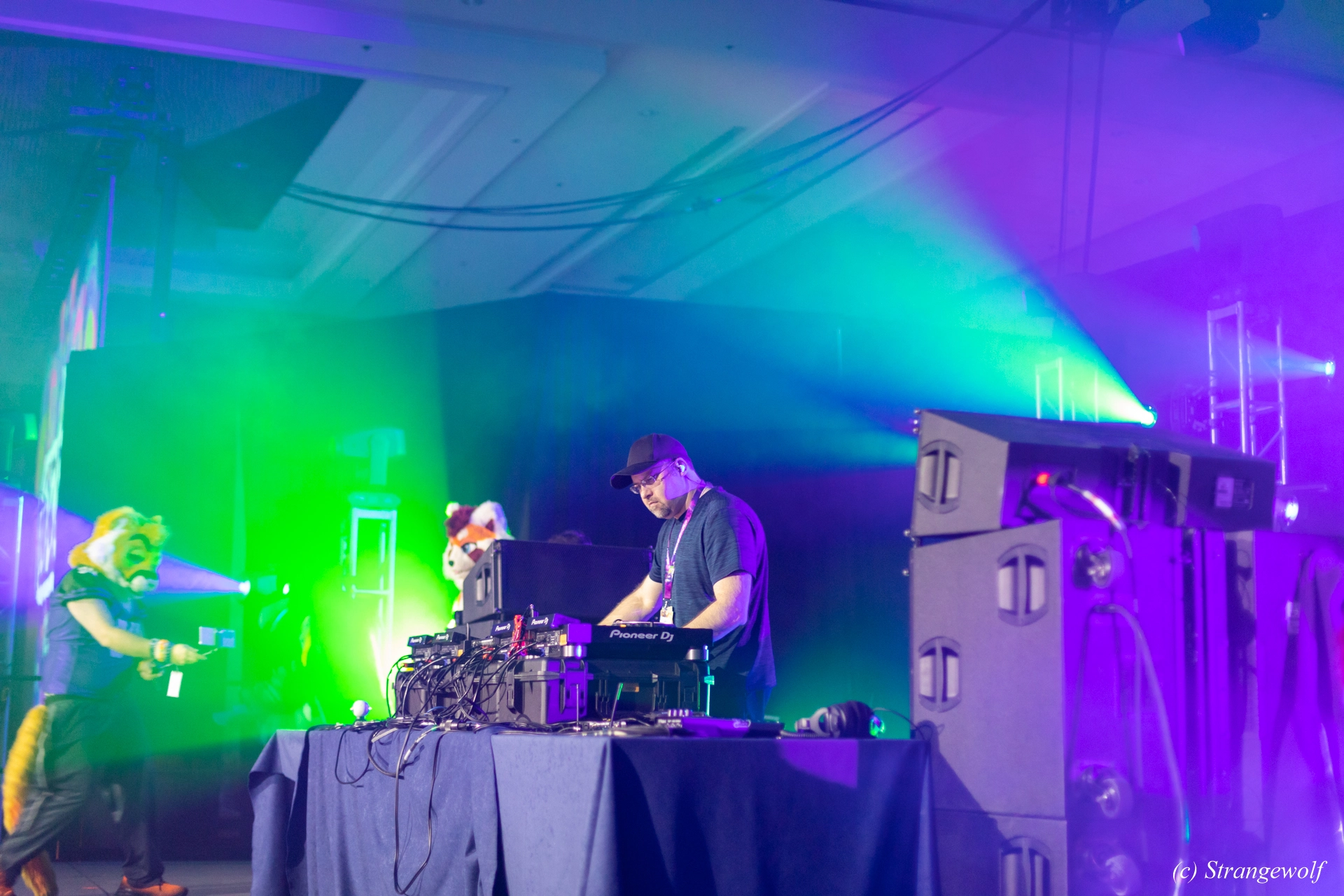 full image 1R3A0594-lr19t.jpg