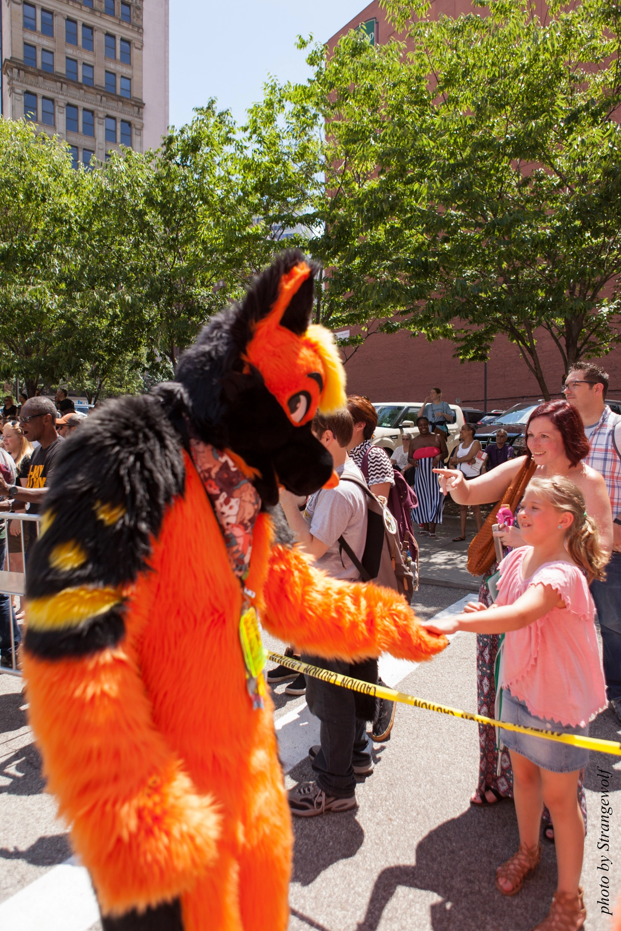 full image IMG_4562-lr19t.jpg