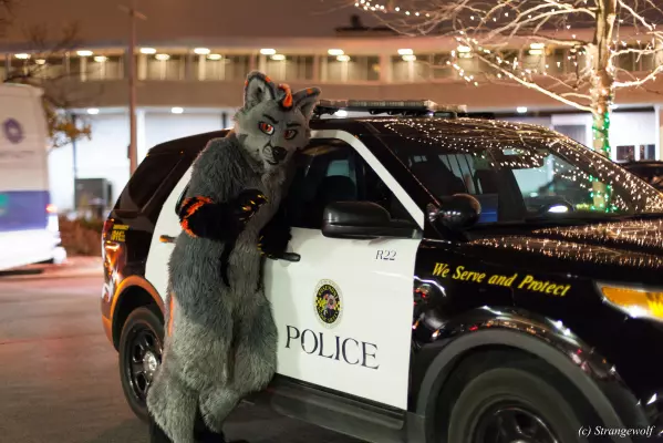 IMG_8029.jpg of MFF/MFF2017/