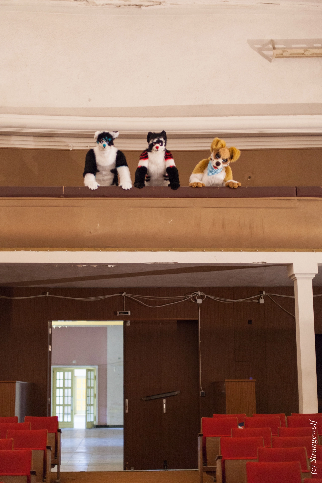 full image IMG_5879-lr19t.jpg