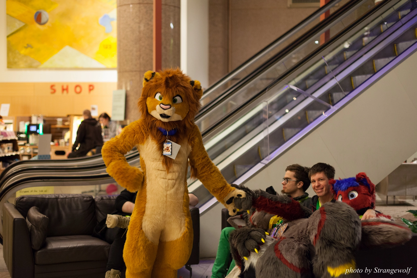 full image IMG_1590-lr16t.jpg