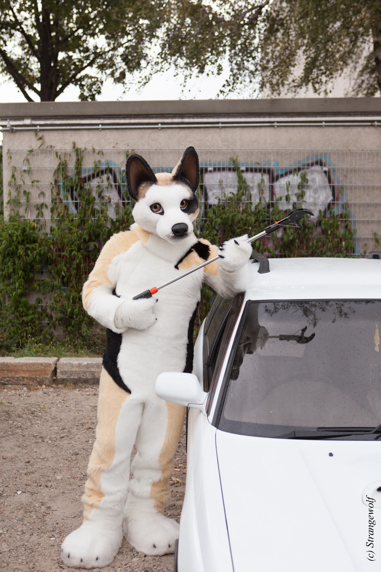 full image IMG_5315-lr19t.jpg