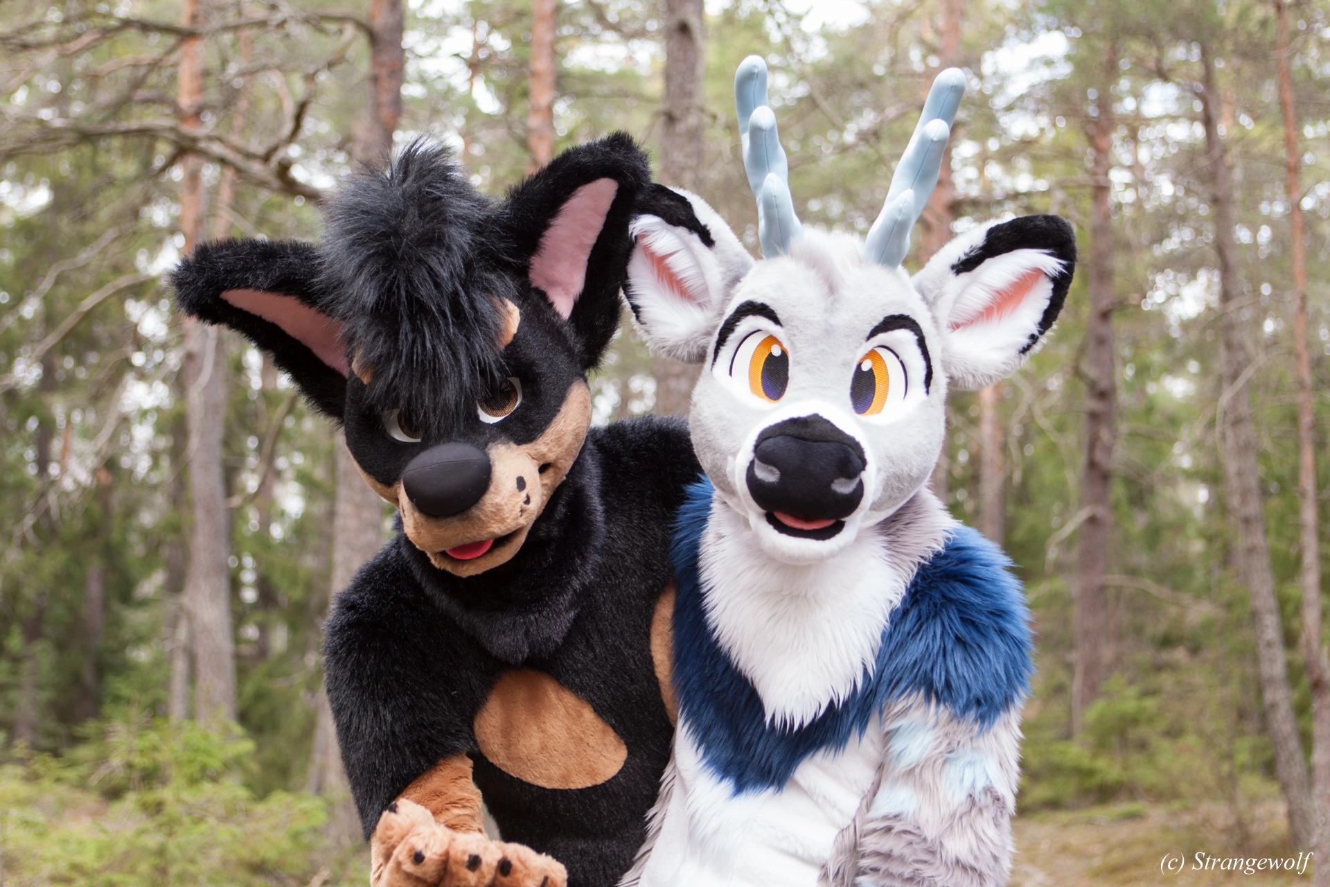 full image IMG_8666-lr19t.jpg