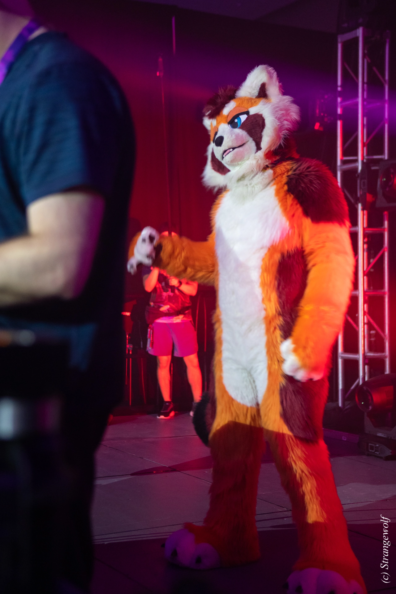 full image 1R3A0852-lr19t.jpg