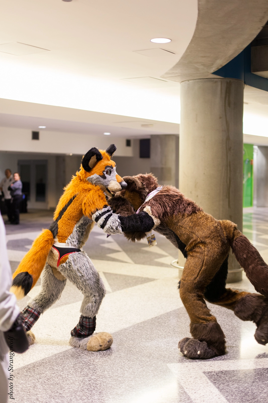 full image IMG_1194-lr16t.jpg