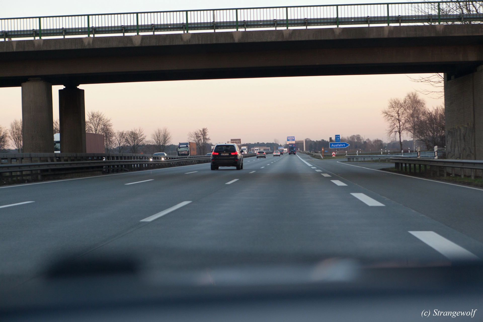 full image IMG_8384-lr19t.jpg