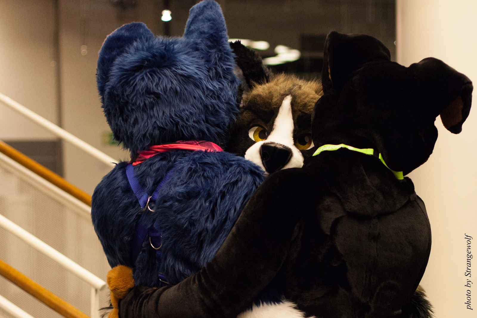 full image IMG_1981-lr16t.jpg