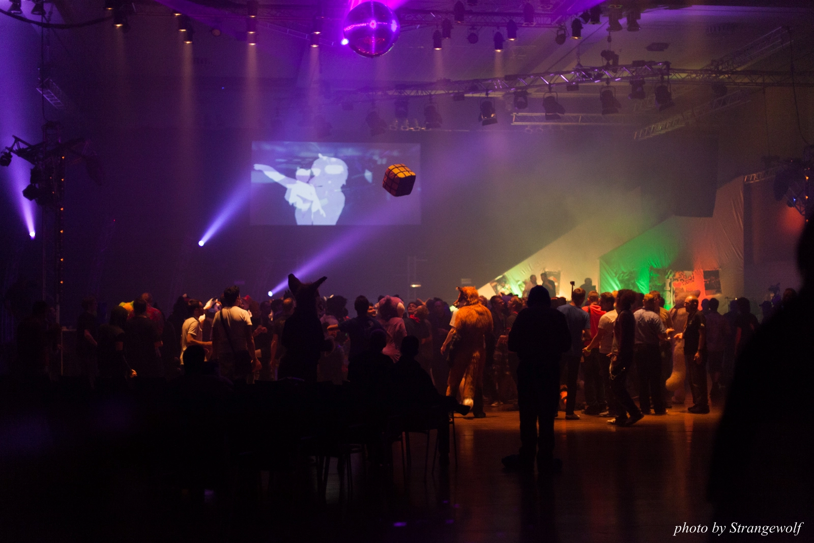 full image IMG_1650-lr16t.jpg
