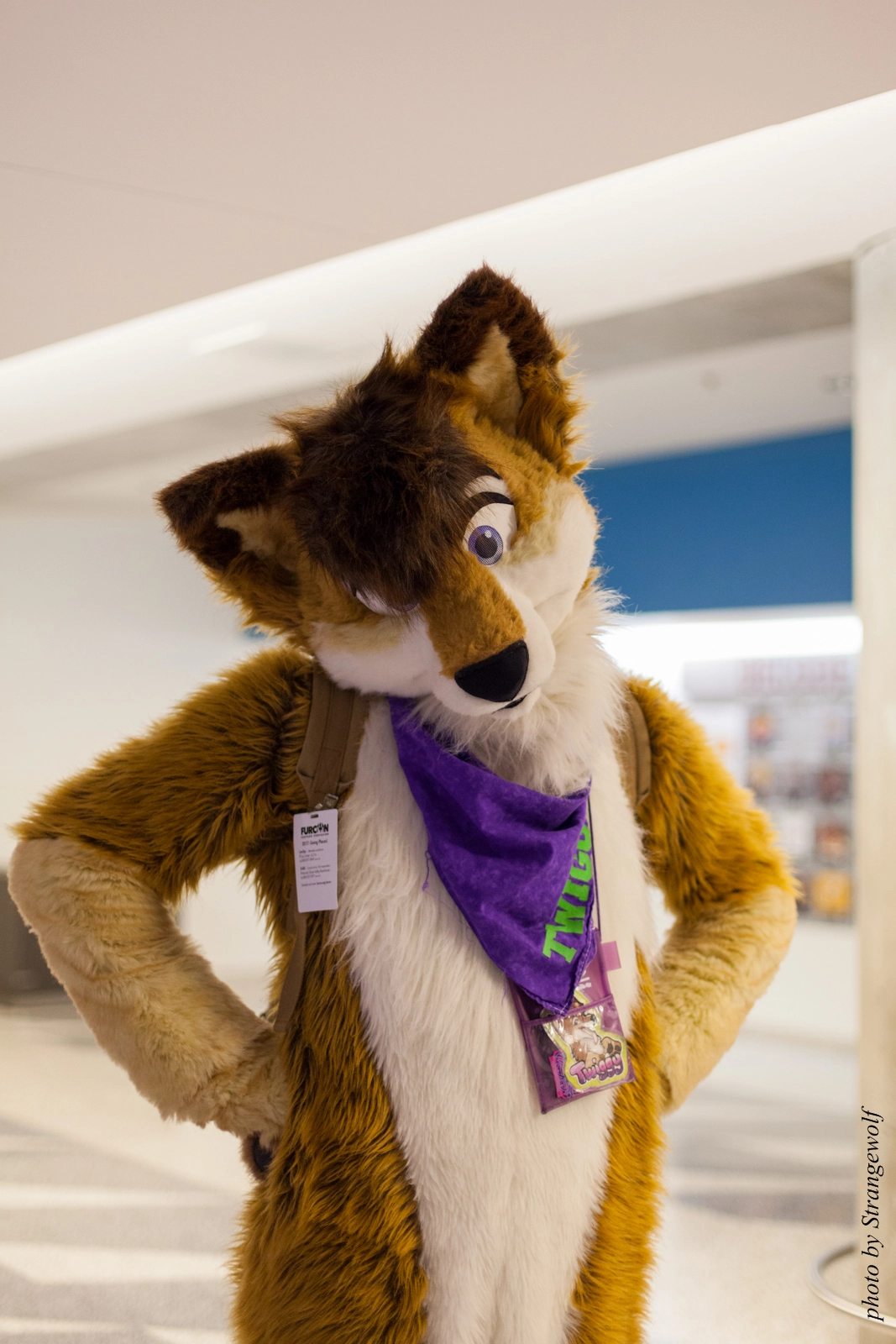 full image IMG_1262-lr16t.jpg