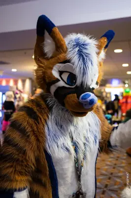 1R3A0293-lr19t.jpg of MFF/MFF2025/