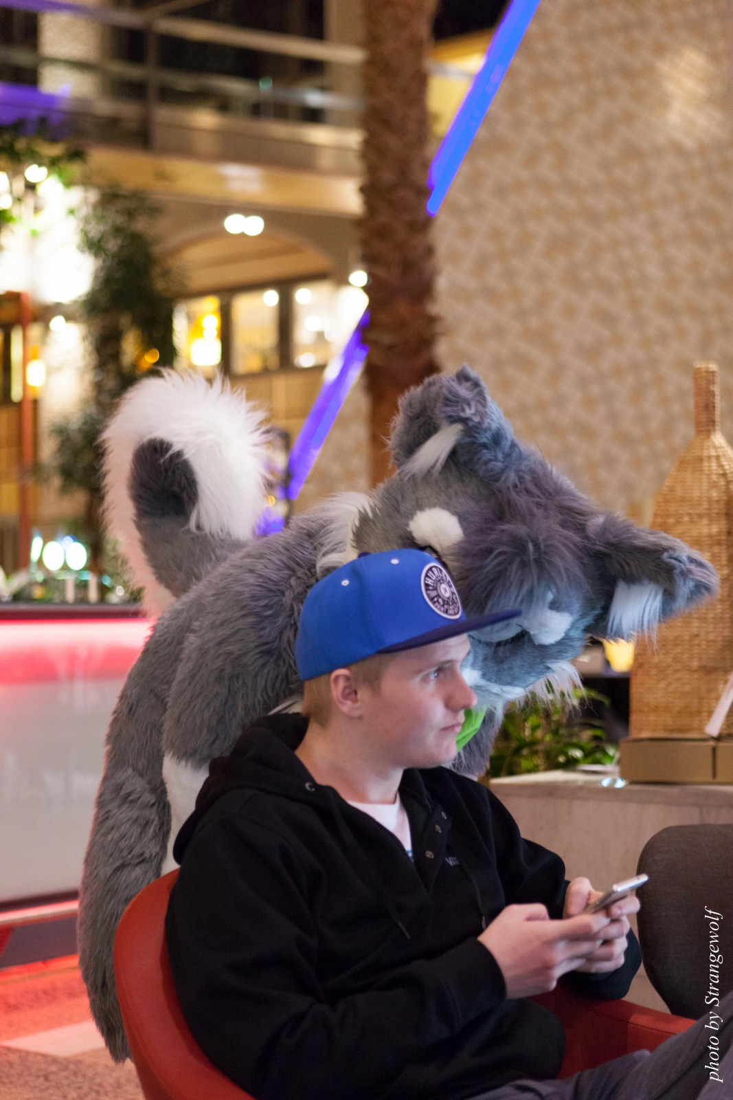 full image IMG_2468-lr16t.jpg