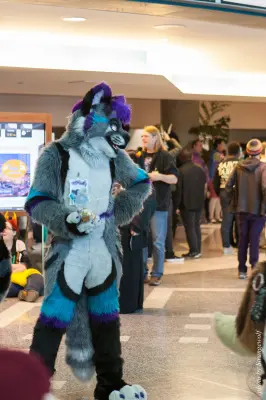 IMG_1080-lr16t.jpg of FC/FC2017/