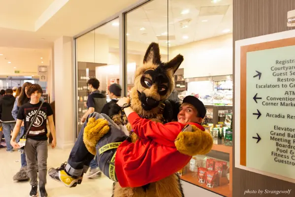 IMG_1324-lr16t.jpg of FC/FC2017/