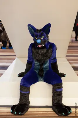 IMG_1844-lr19t.jpg of FWA/FWA2018/