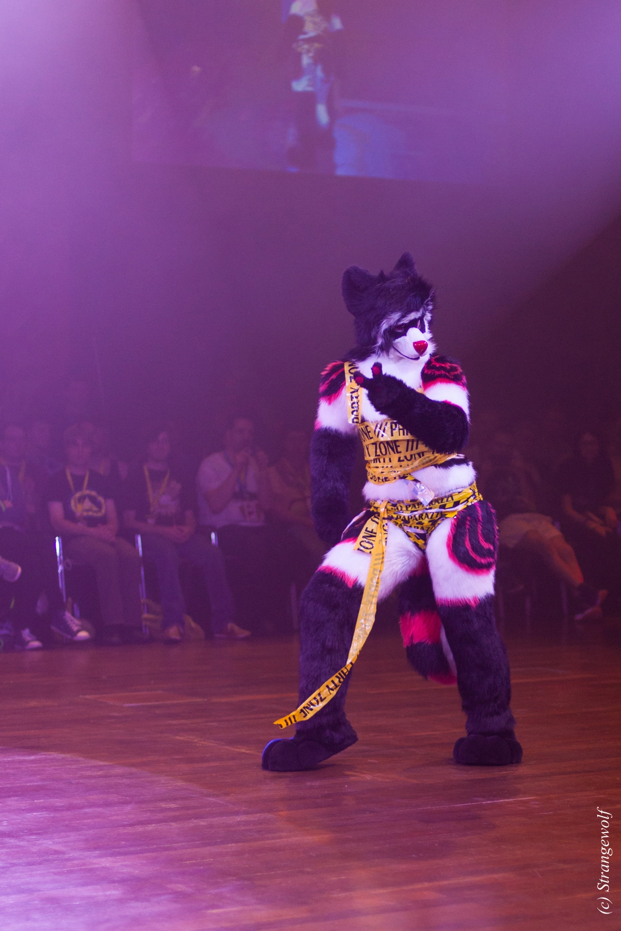 full image IMG_6593-lr19t.jpg