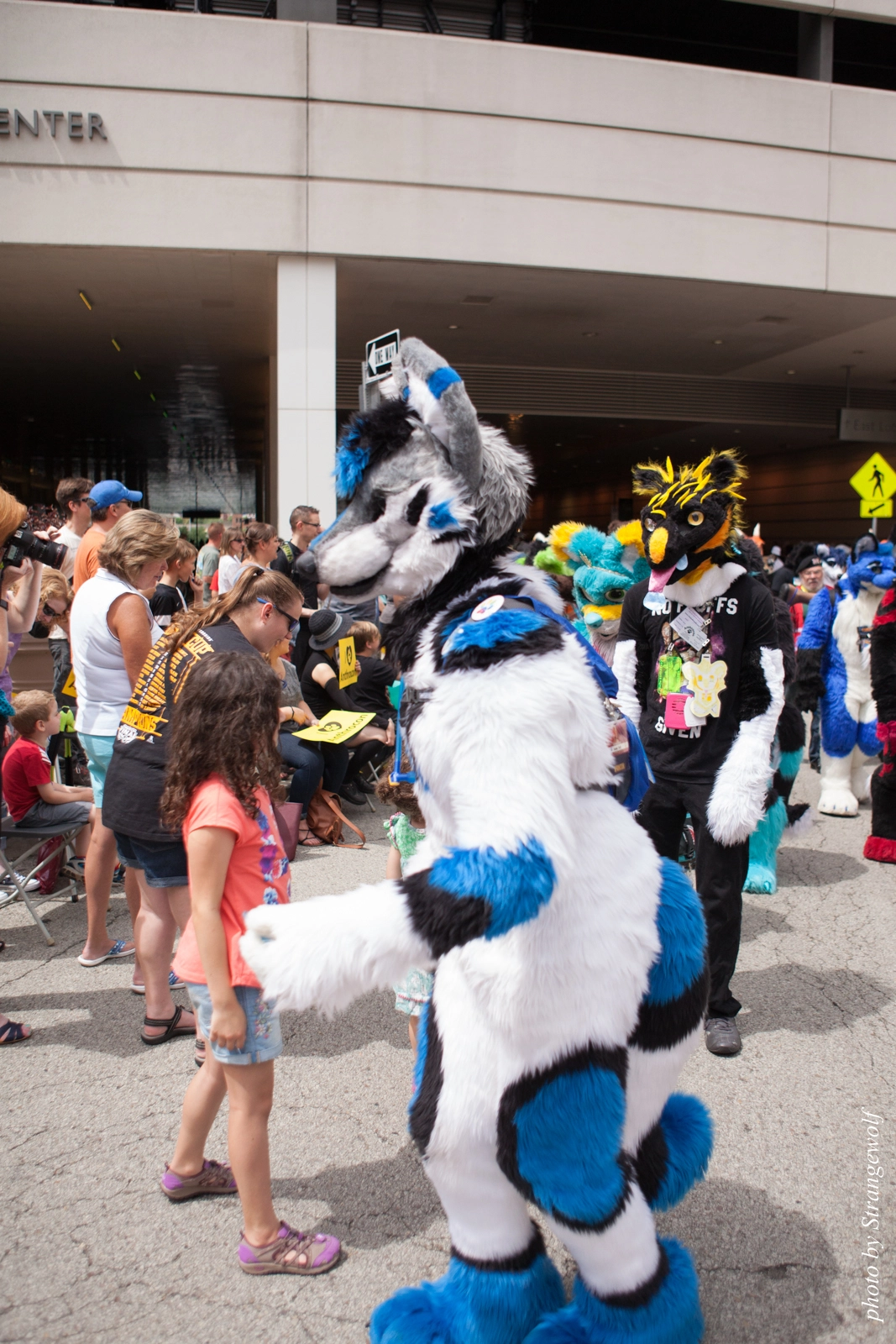 full image IMG_8051-lr16t.jpg