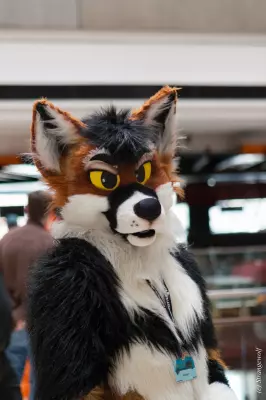 IMG_8334-lr19t.jpg of MFF/MFF2017/