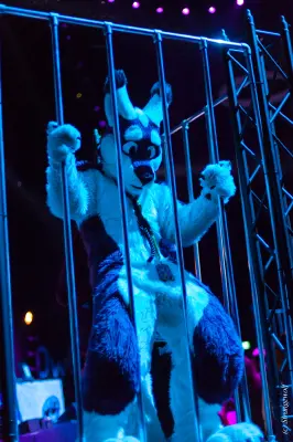 IMG_9230-lr19t.jpg of NFC/NFC2020/