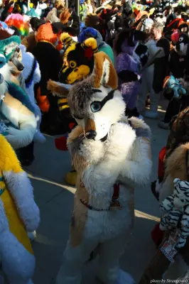 IMG_0669-lr.jpg of MFF/MFF2013/