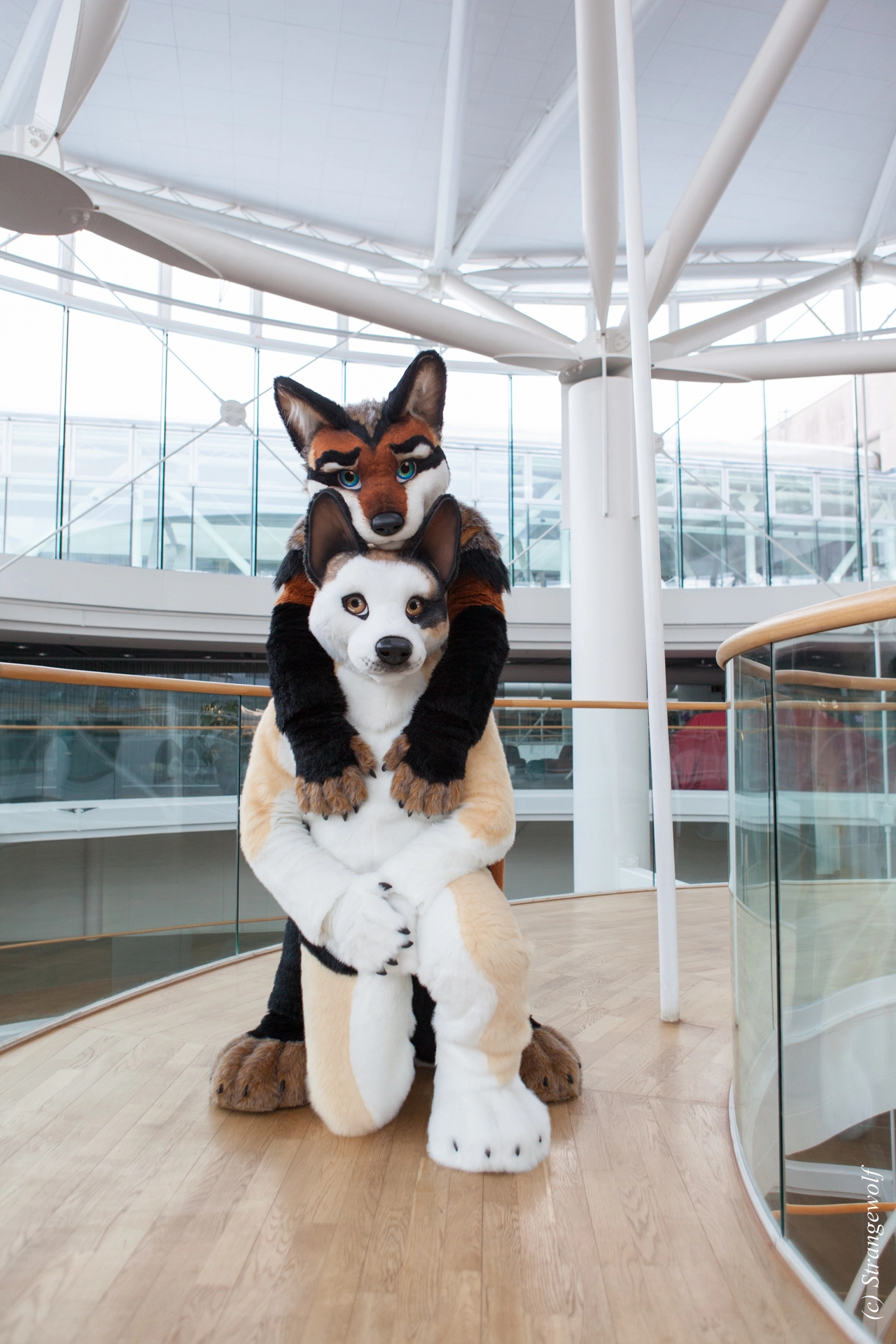 full image IMG_0495-lr19t.jpg