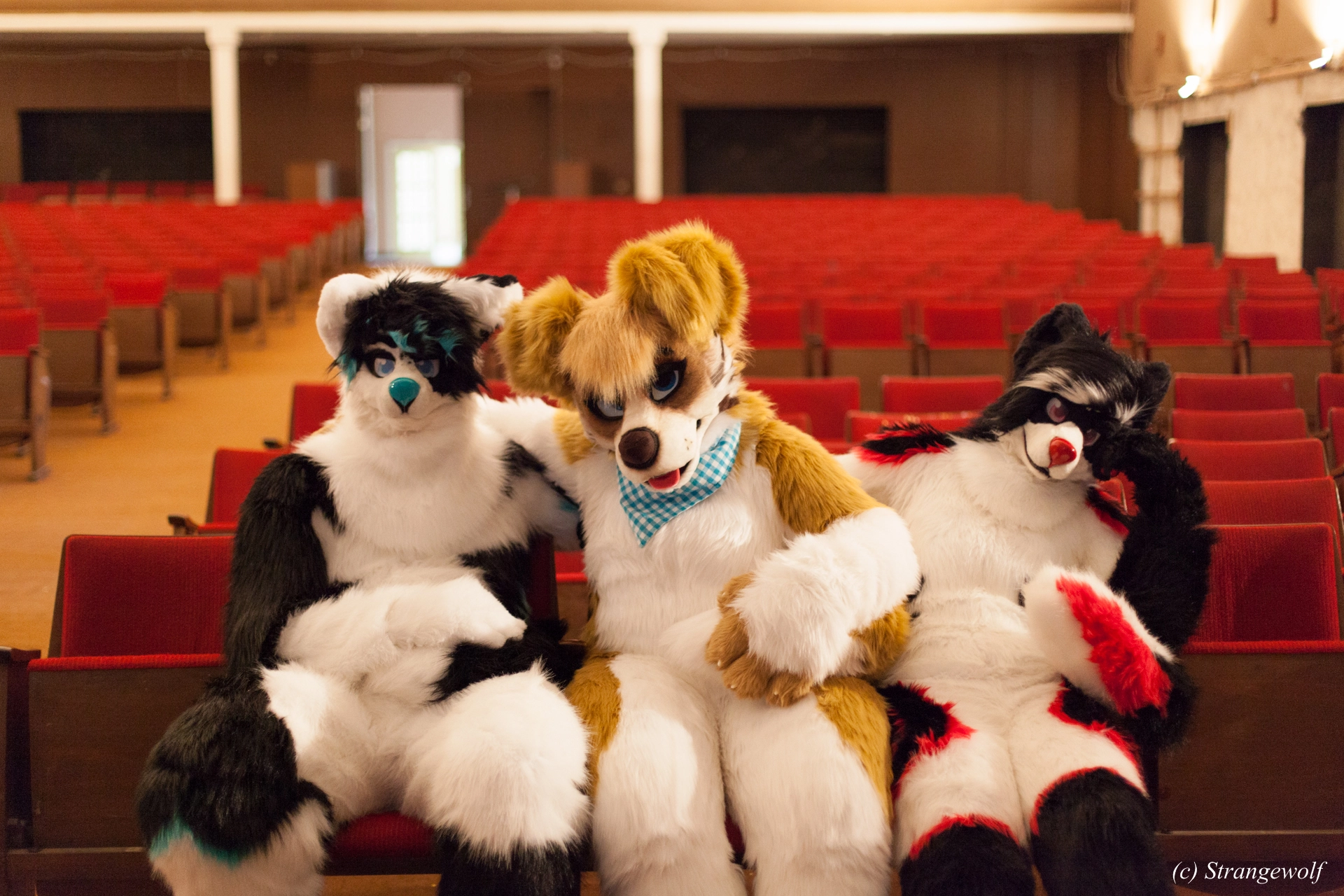 full image IMG_5919-lr19t.jpg