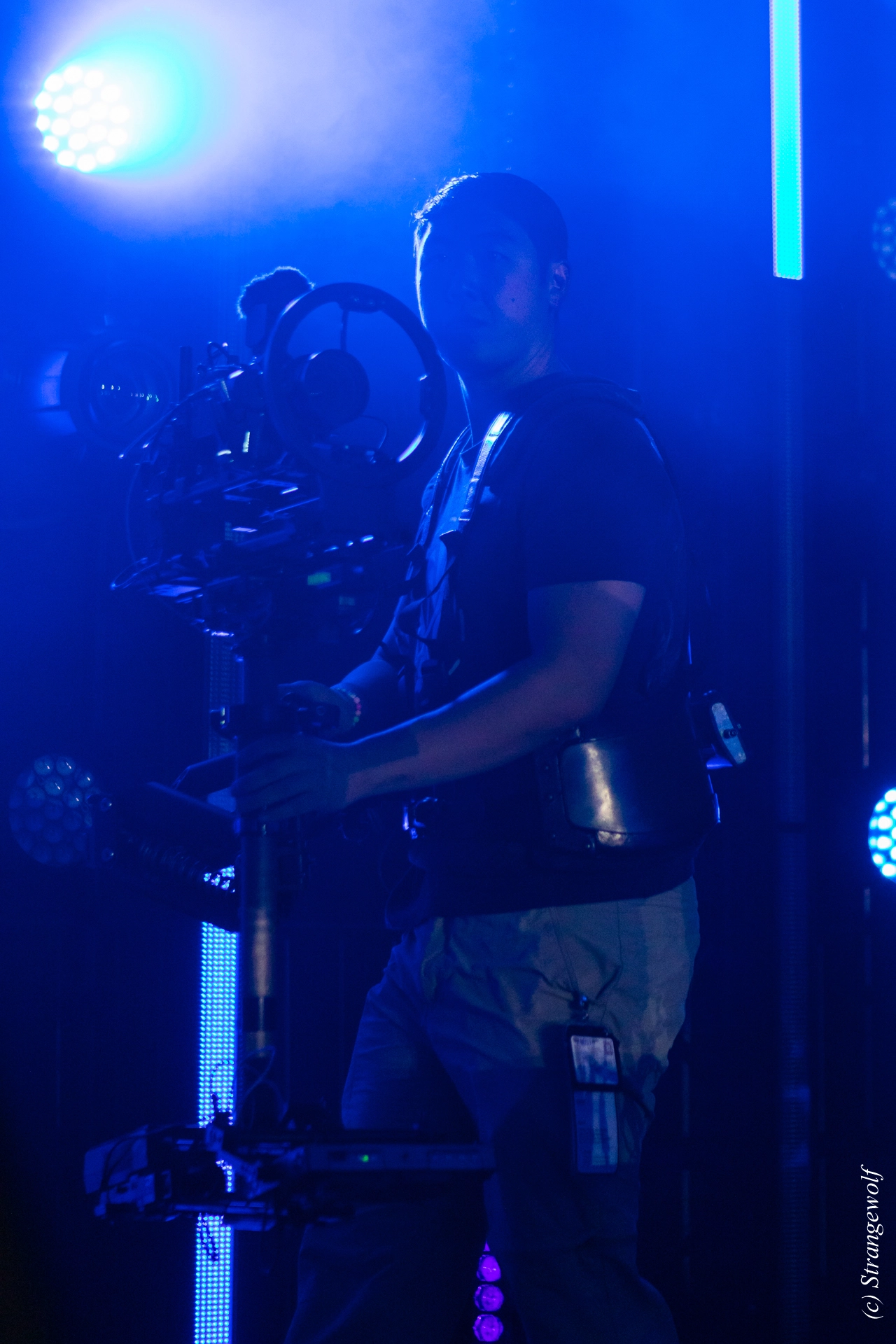 full image 1R3A4911-lr19t.jpg