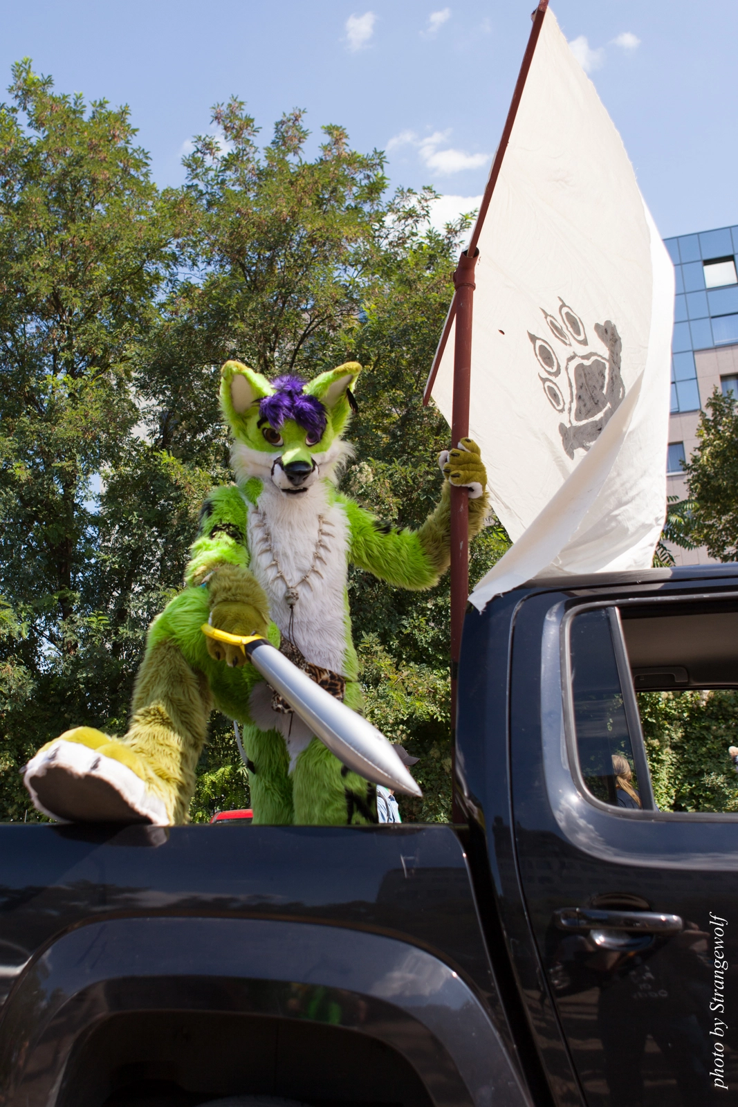 full image IMG_2240-lr16t.jpg
