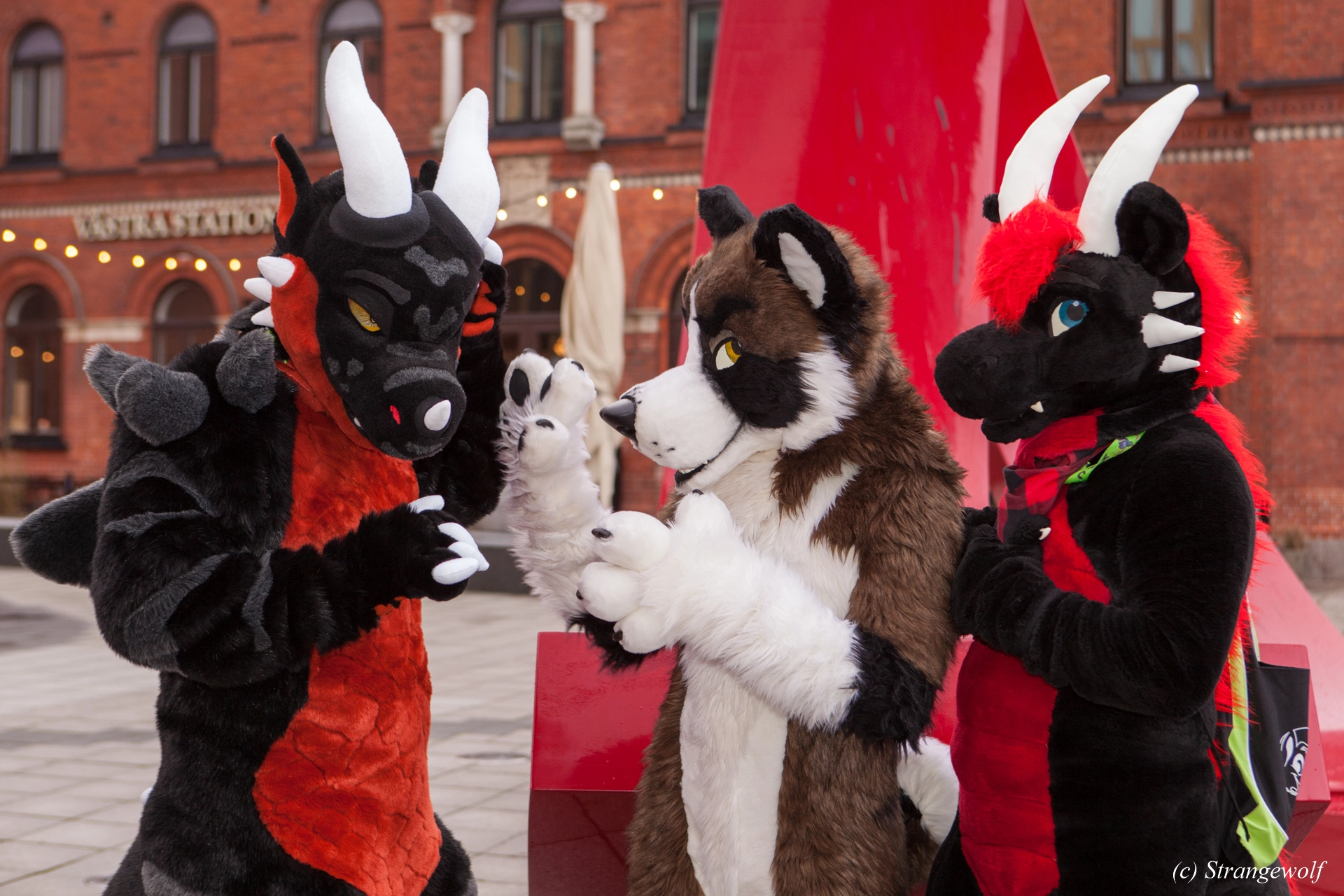 full image IMG_8972-lr19t.jpg