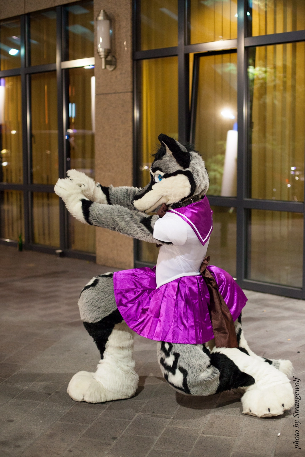 full image IMG_2010-lr16t.jpg