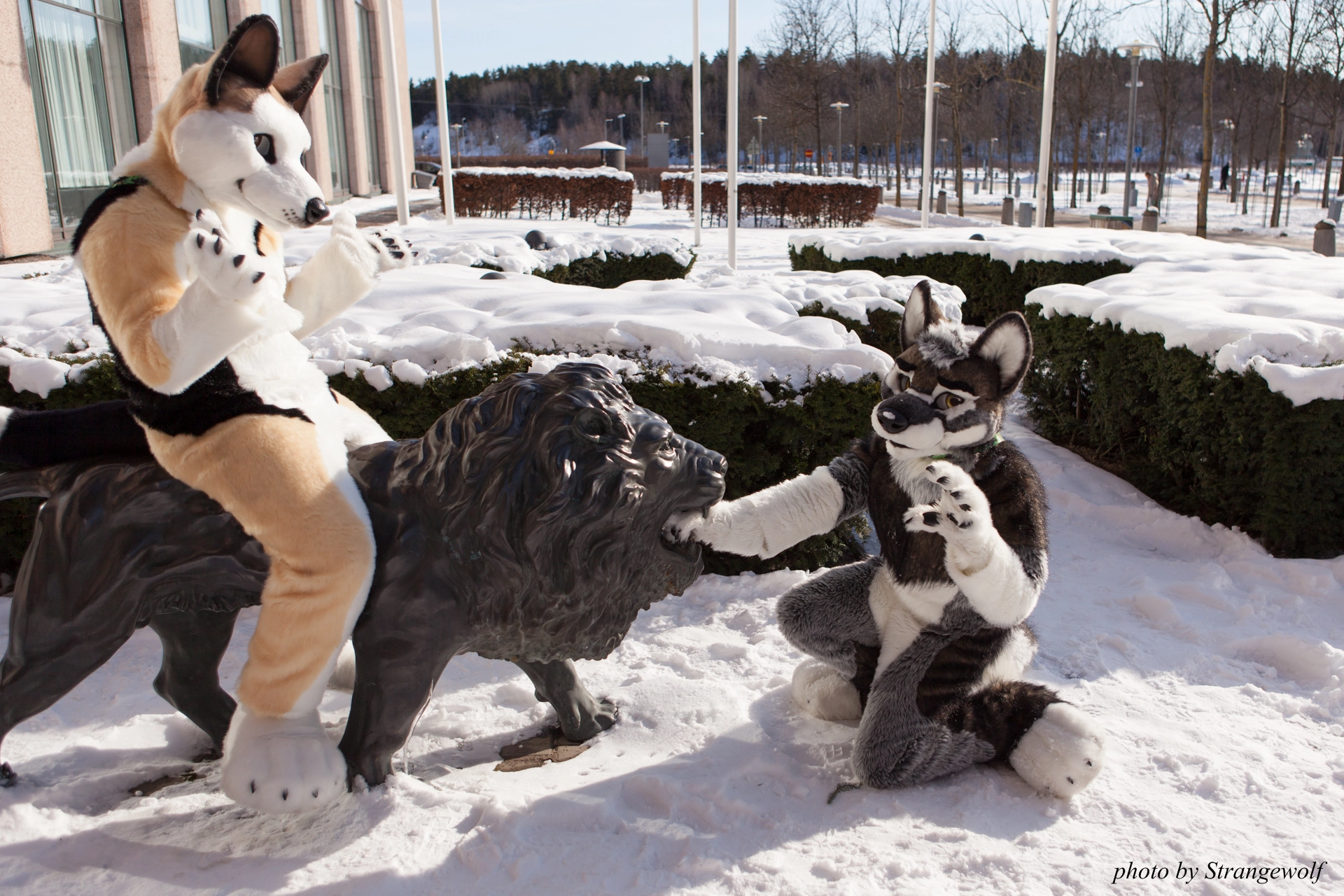 full image IMG_9602-lr19t.jpg