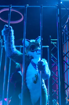 IMG_9266-lr19t.jpg of NFC/NFC2020/