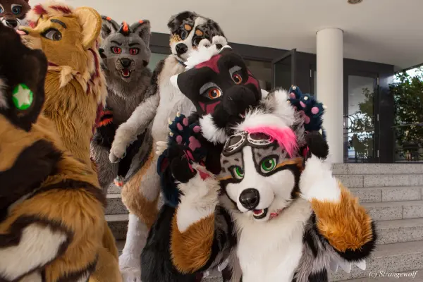 IMG_4918-lr19t.jpg of EF/EF24/Fotoshoot-Neonfurs/