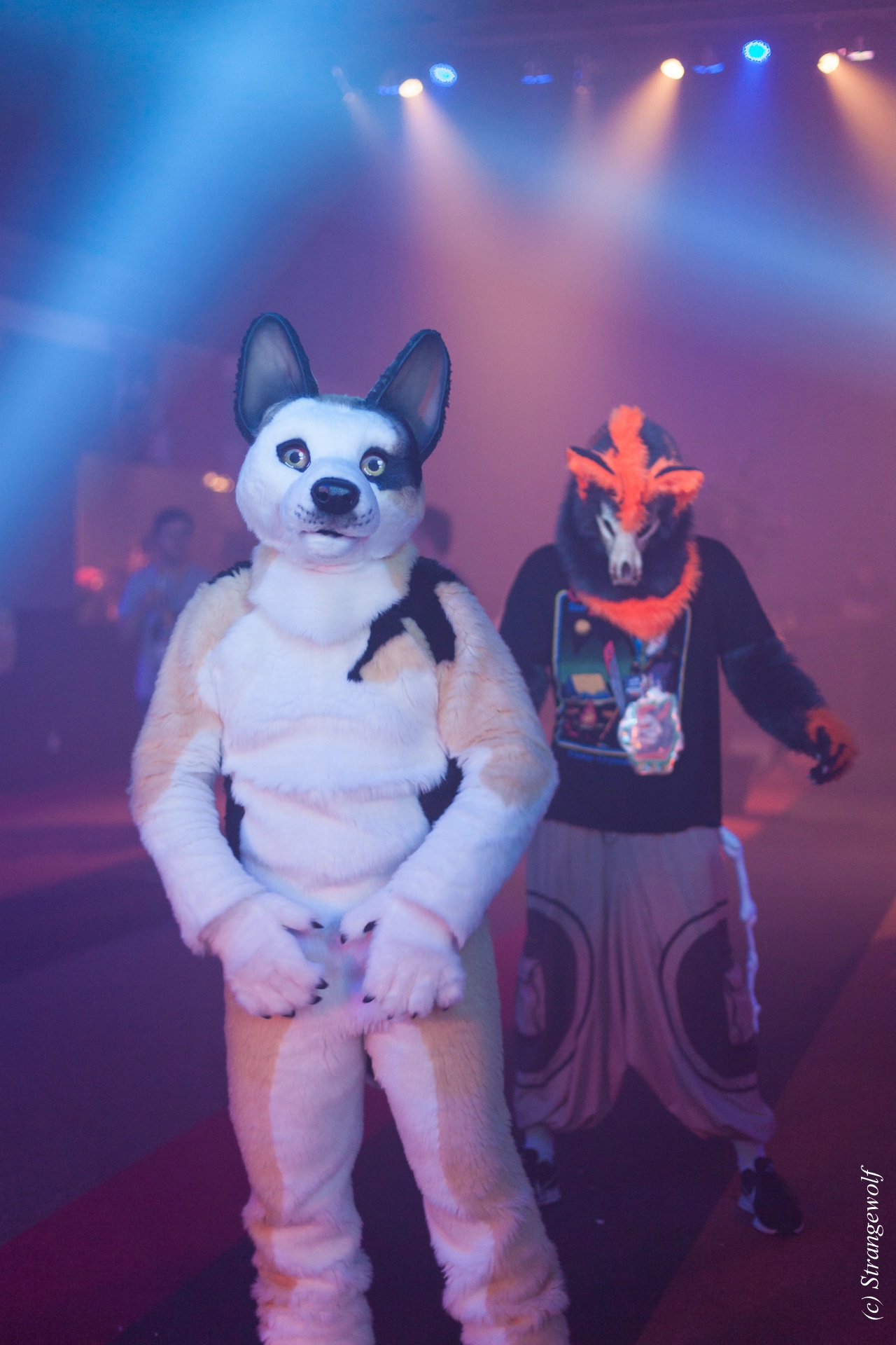 full image IMG_6404-lr19t.jpg