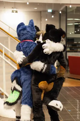 IMG_1988-lr16t.jpg of NFC/NFC2017/