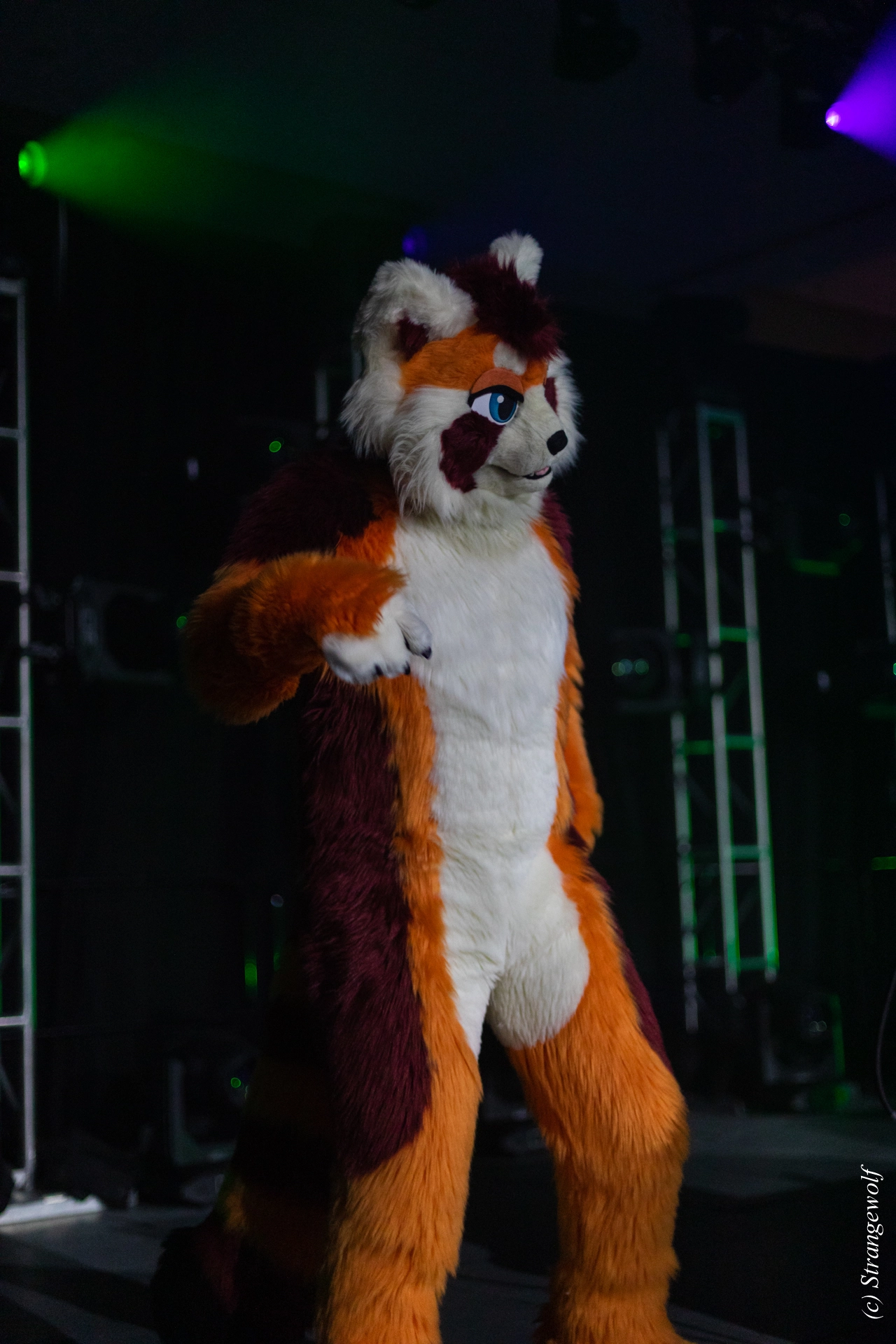 full image 1R3A0566-lr19t.jpg