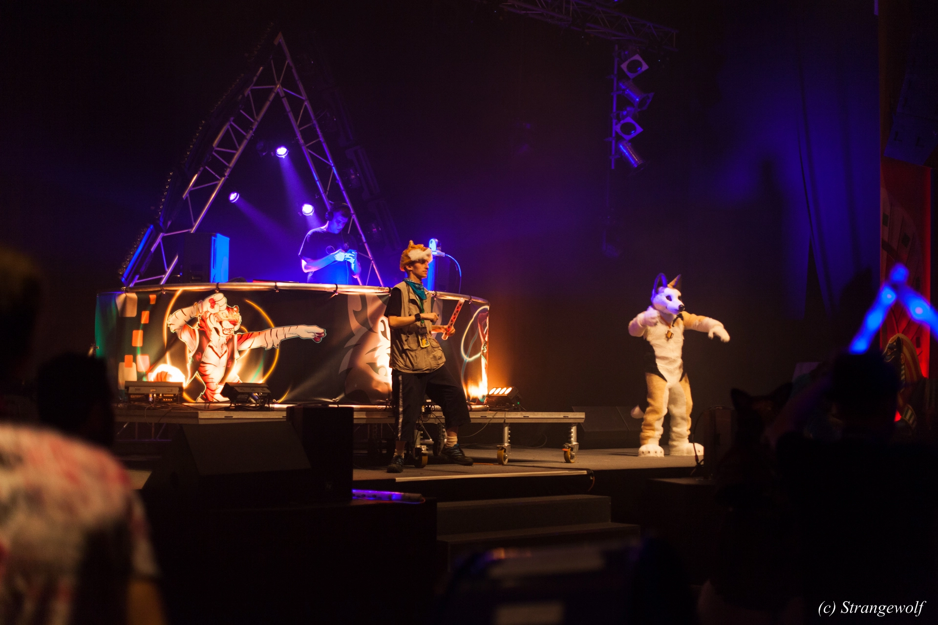 full image IMG_6698-lr19t.jpg