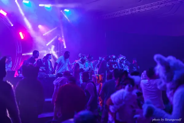 IMG_1212-lr16t.jpg of FC/FC2017/