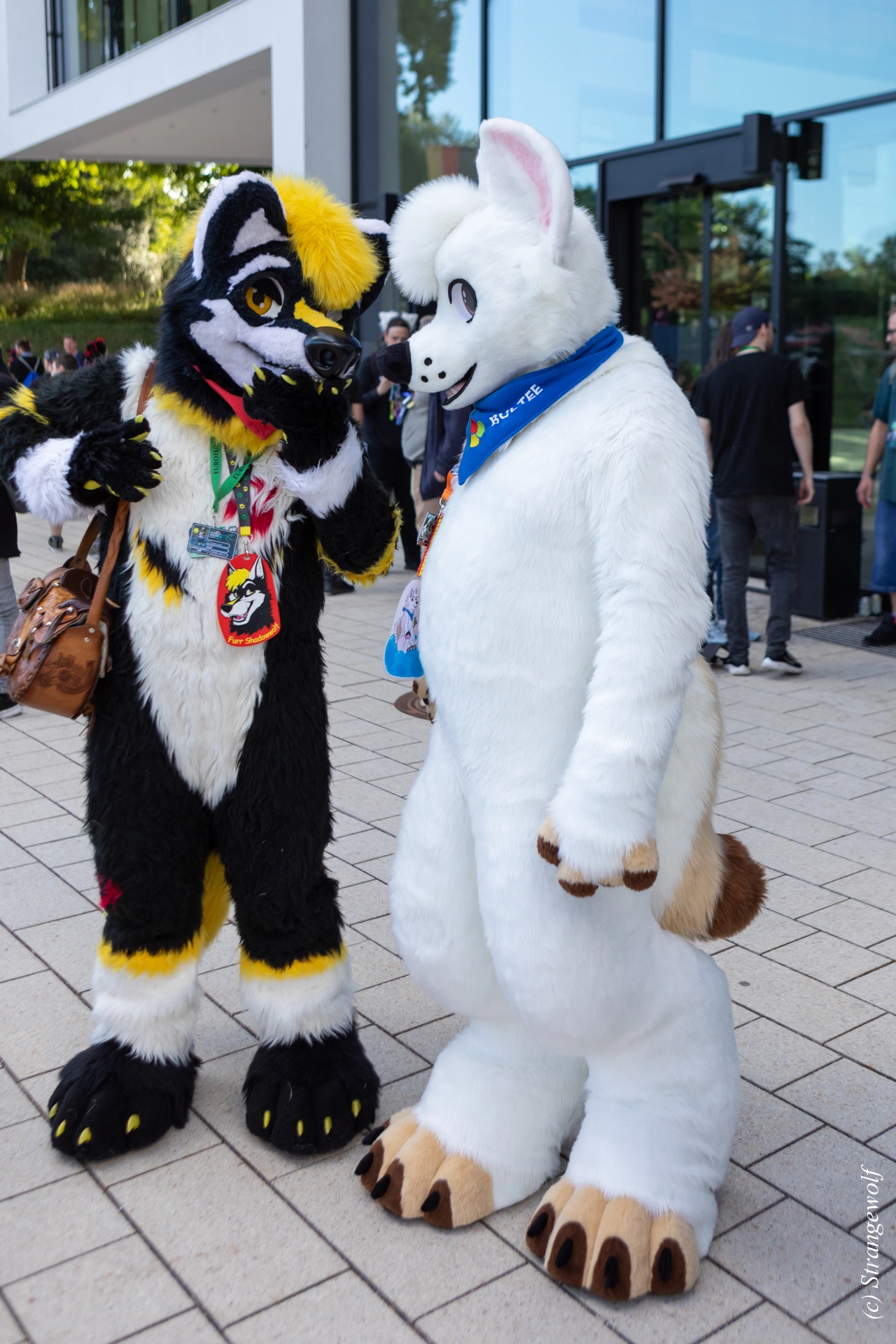 full image 1R3A9258-lr19t.jpg