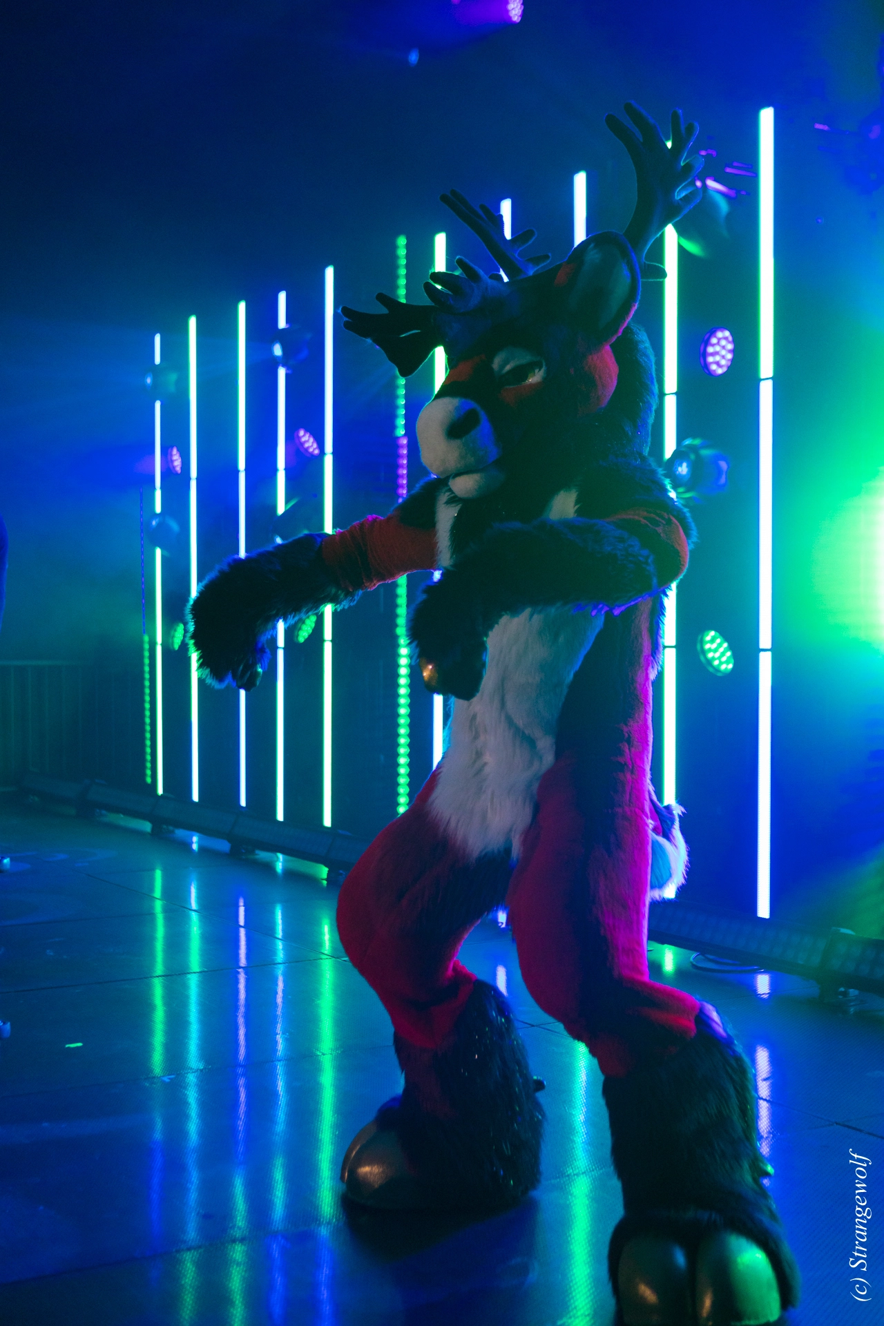 full image 1R3A5131-lr19t.jpg