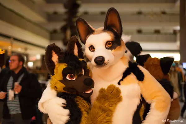 IMG_8079.jpg of MFF/MFF2017/
