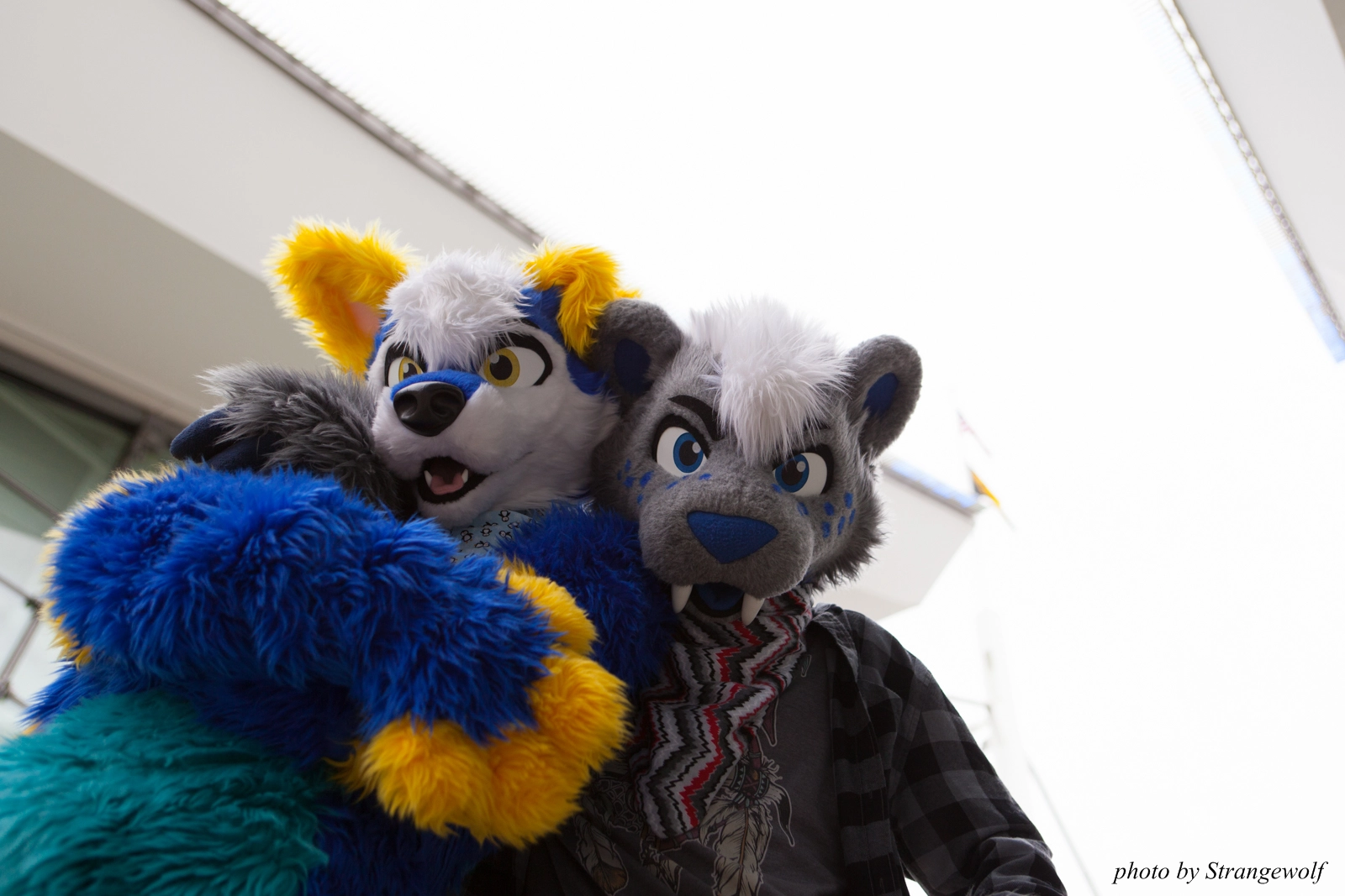 full image IMG_8228-lr16t.jpg
