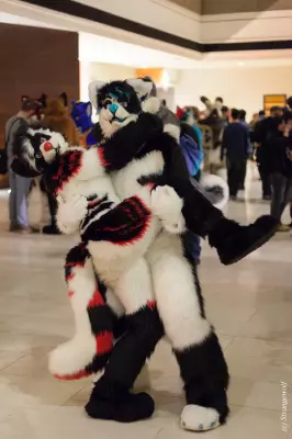 IMG_7084-lr19t.jpg of MFF/MFF2018/