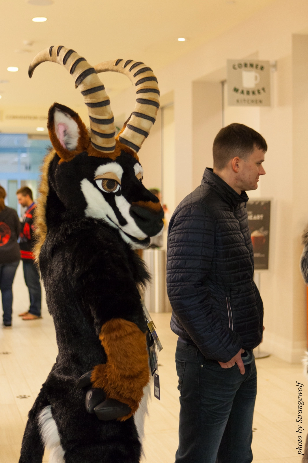 full image IMG_1280-lr16t.jpg