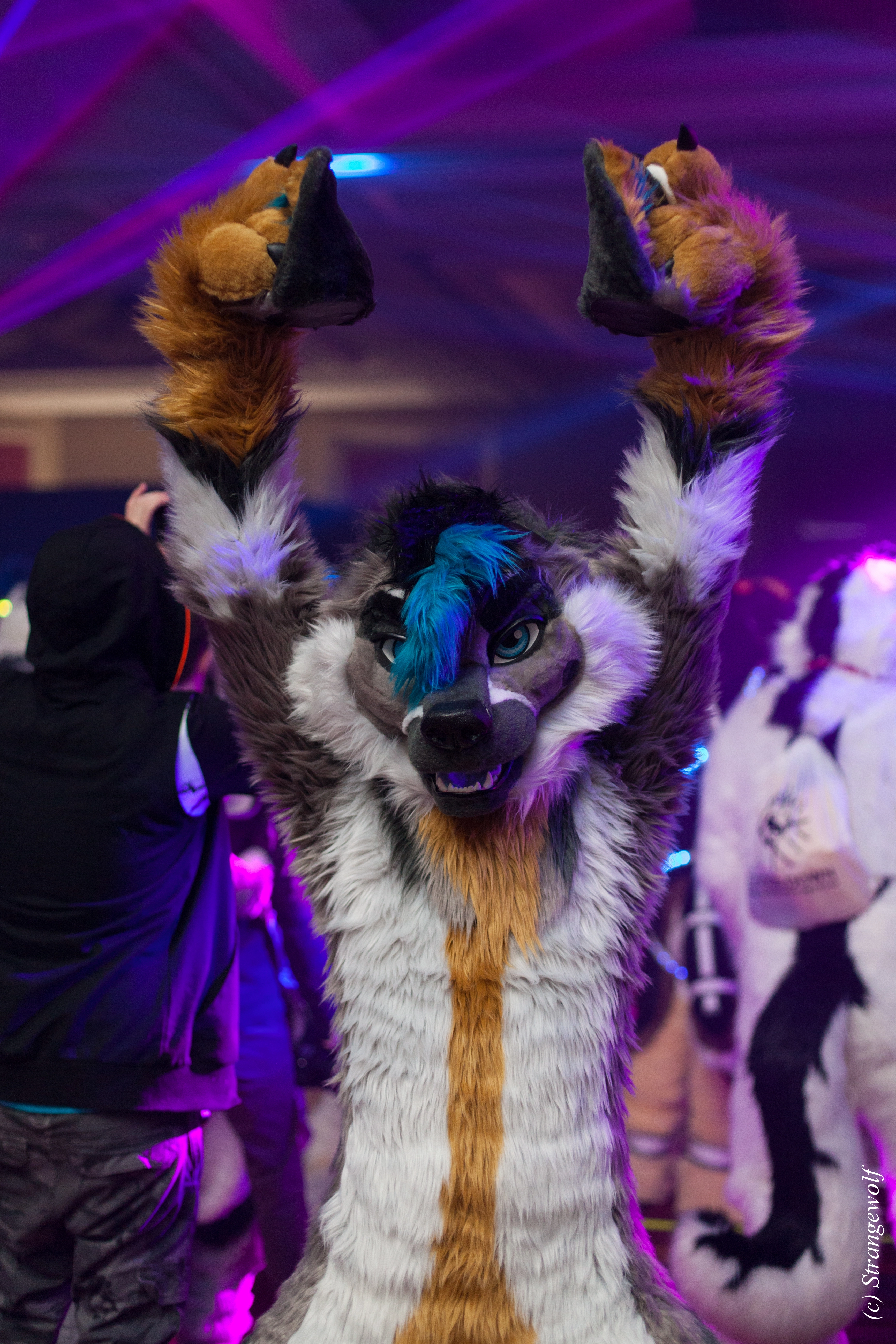 full image IMG_8032-lr.jpg