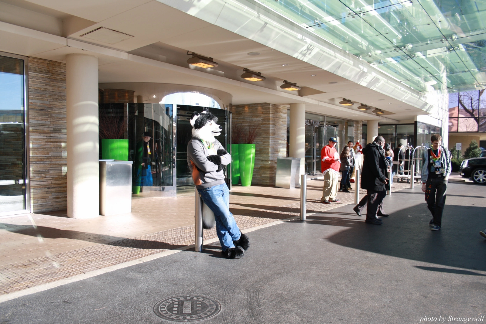 full image IMG_0906-lr.jpg