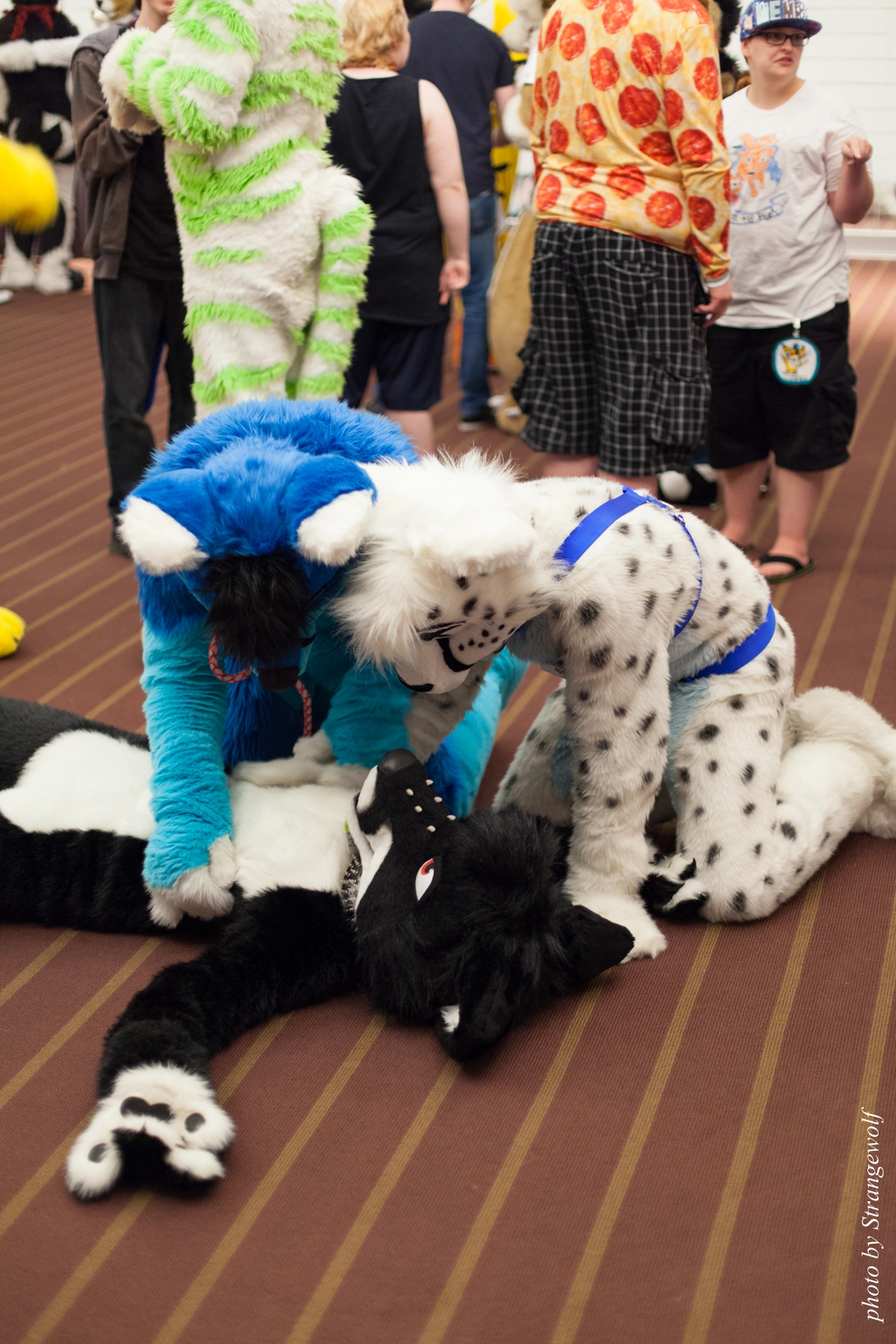 full image IMG_4743-lr19t.jpg