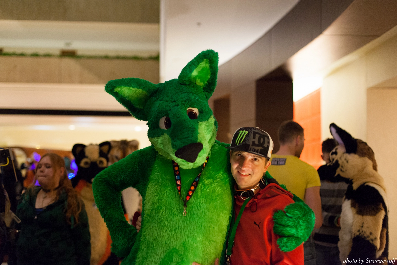 full image IMG_6539-lr16t.jpg